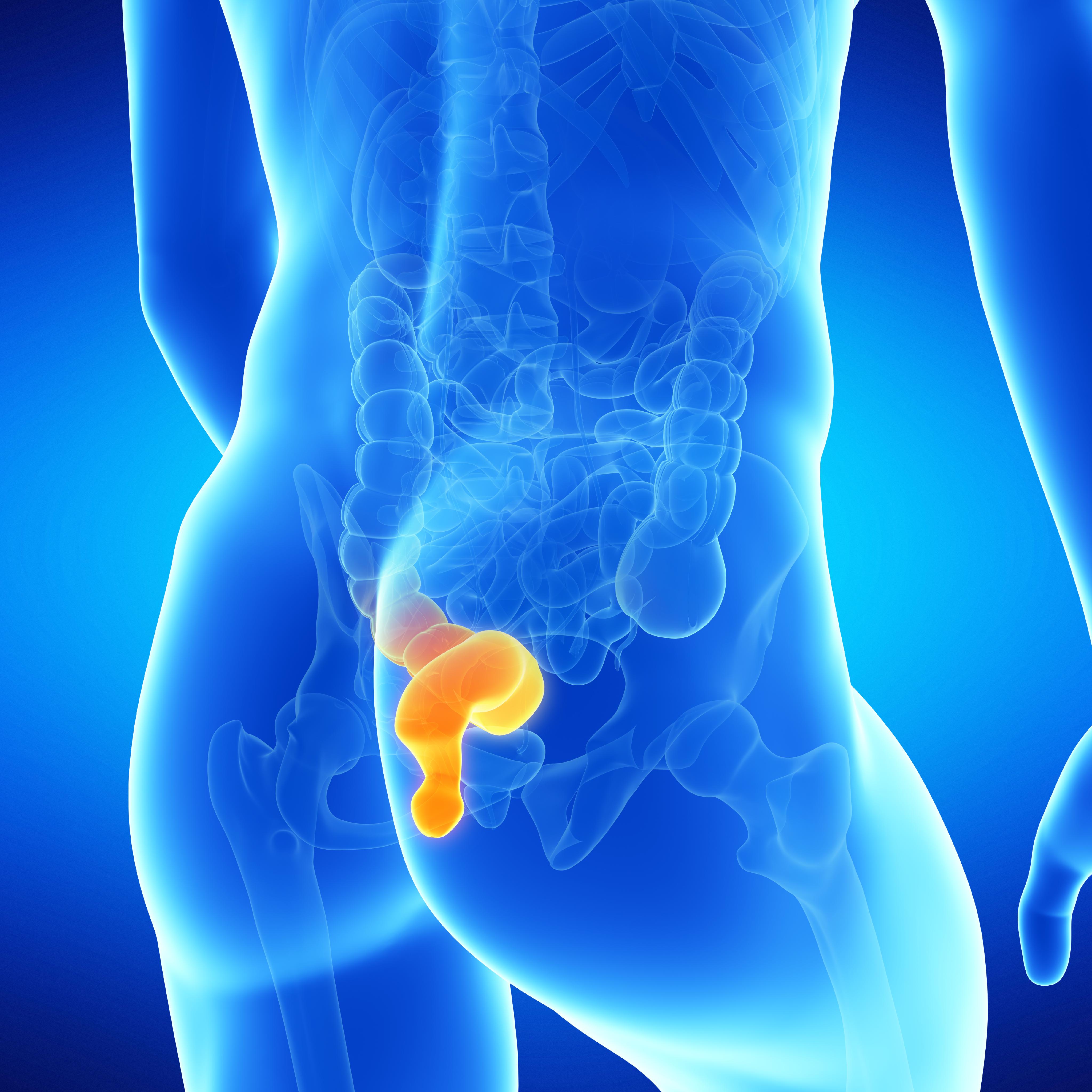 Anal Bölge Hastalıkları