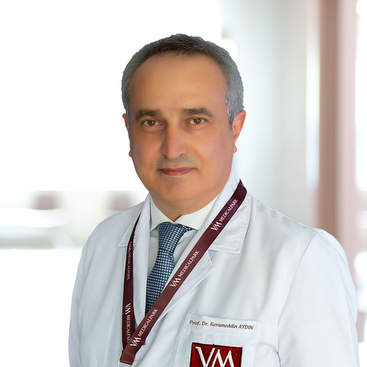 Prof. Dr. Keramettin Aydın, Samsun, ATAKUM, Beyin Ve Sinir